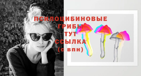 бошки Анжеро-Судженск