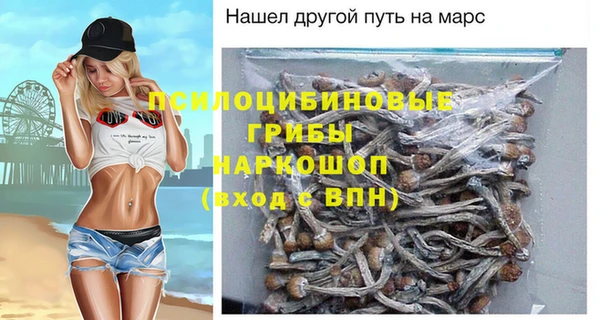 бутират Анива