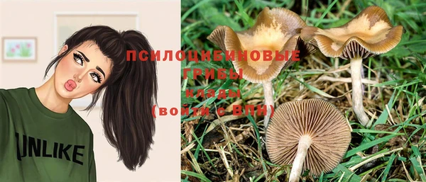 гашик Наволоки