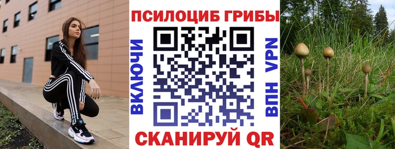 сайты даркнета какой сайт  Галич  Галлюциногенные грибы MAGIC MUSHROOMS  kraken зеркало 